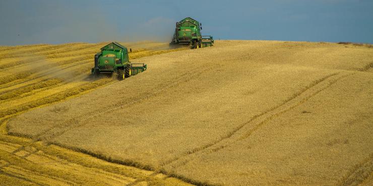 В ЄС немає коштів для перевезення українського зерна суходолом, - Reuters