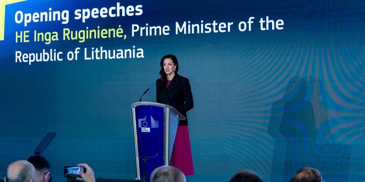 Безпілотник, що впав на території Литви - український, - прем'єрка Ругінене
