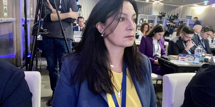 Комітет Ради з нацбезпеки схвалив законопроєкт Кабміну про нові контракти ЗСУ, але є зауваження, - Фріз