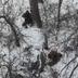 На Сумщині росіяни вбили двох цивільних, які намагалися евакуюватися