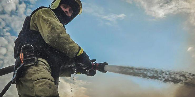 На Харківщині вирує масштабна лісова пожежа: влада евакуювала жителів села
