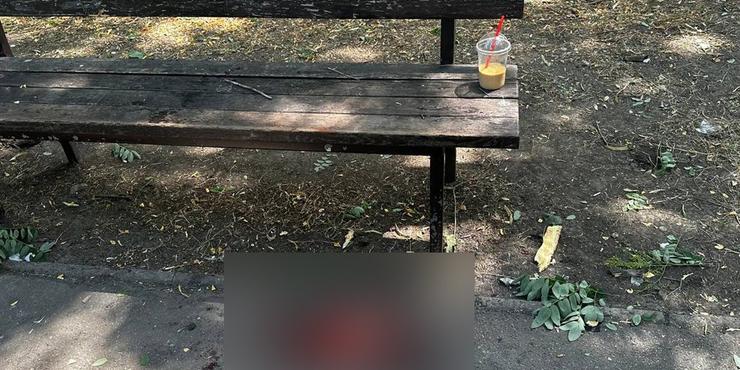 У Запоріжжі уламки невідомого об'єкта впали на людей у парку: серед поранених є діти