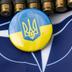 НАТО не називає умови для членства України, але вводить систему контролю – Річну національну програму