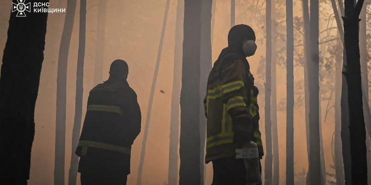 У Чорнобильській зоні вирує масштабна лісова пожежа: МВС запевняє, що рівень радіації в межах норми