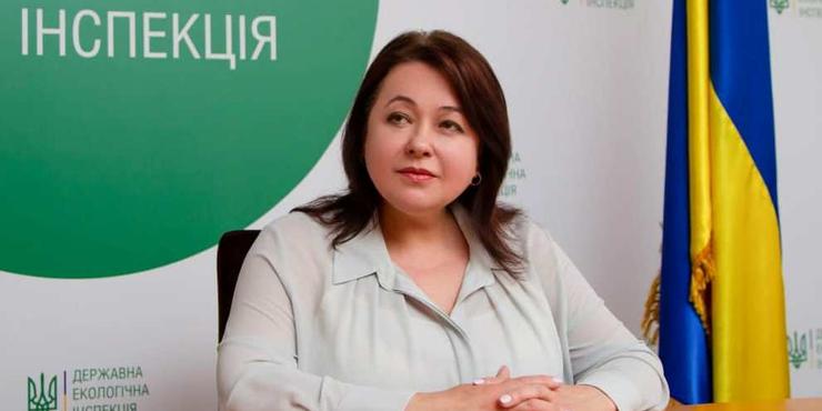 В Раді розповіли, як вдалося у резолюцію ООН про репарації від РФ включити екологічні збитки