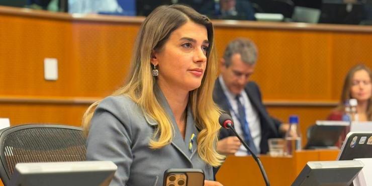 У ПАРЄ ухвалили підсумкову заяву про спільну позицію України та ЄС щодо низки питань, - Білозір