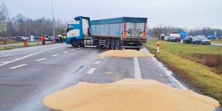 Польський міністр вибачився за розсипане на кордоні українське зерно