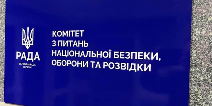 Комітет Ради з оборони не підтримав звільнення Малюка, але звільнення Шмигаля схвалив, - нардеп Железняк
