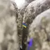Інформація про вручення повістки відображатиметься в Єдиному реєстрі: рішення Кабміну