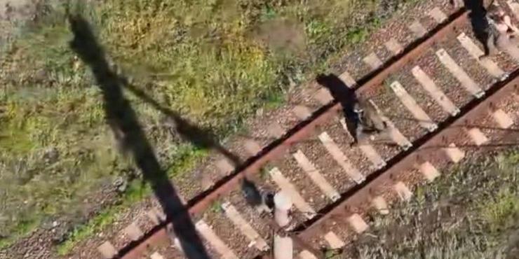Бійці ДПСУ завдяки дрону взяли в полон двох окупантів на Куп’янському напрямку
