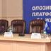 Шуляк назвала способи, як позбавити мандатів решту нардепів ОПЗЖ