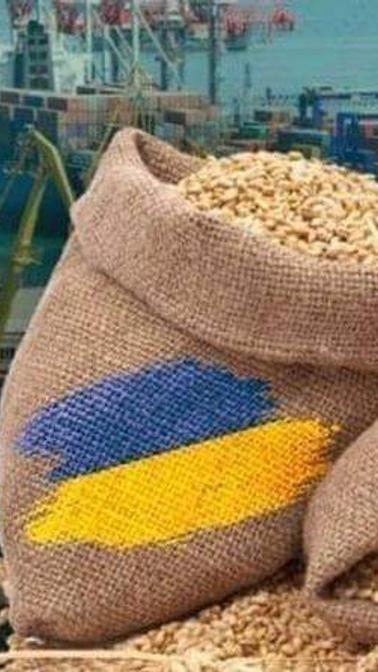 Українське зерно Українське зерно