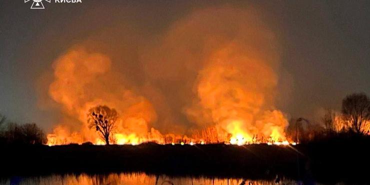 У Києві з’ясовують причини пожежі на Осокорківських озерах