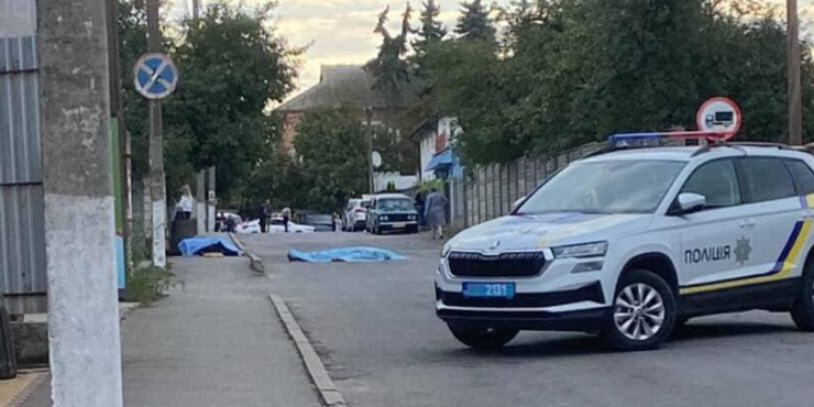 На Вінниччині чоловік напав з ножем на школярів і убив їх: нардепка Білозір розповіла подробиці трагедії