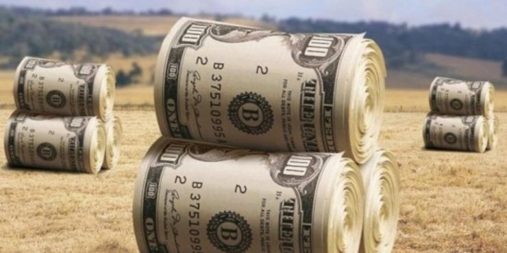 Земельне рейдерство в Україні: як працюють "схеми", приклади судових справ