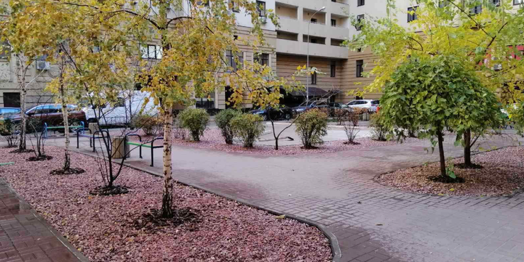 Прибудинкова територія: які права мають власники квартир, і як їх захистити Прибудинкова територія: які права мають власники квартир в Україні, висновки Верховного Суду