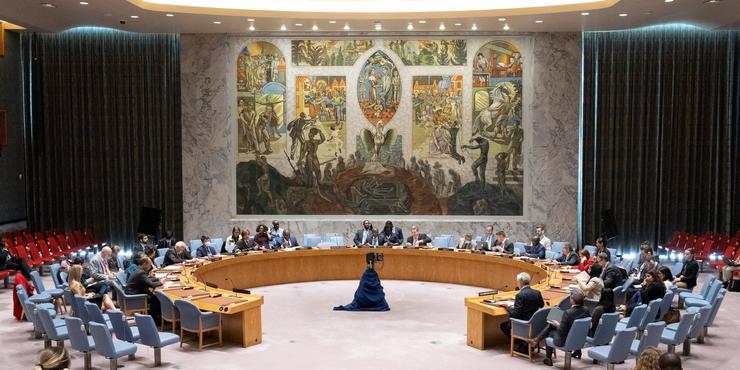 Рада Безпеки ООН відхилила закиди Росії про "біологічну зброю" в Україні