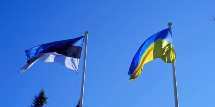 Естонія відправить Україні безпілотники та зимову форму