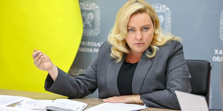 Голова Харківської ОВА "забула" вказати у декларації статки на понад 3 млн грн: це нерухомість у Франції, якою опікується її чоловік