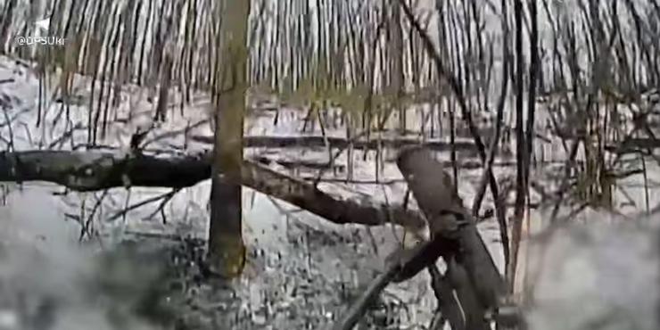 Бійці ДПСУ показали, як масово ліквідували зброю та укриття росіян