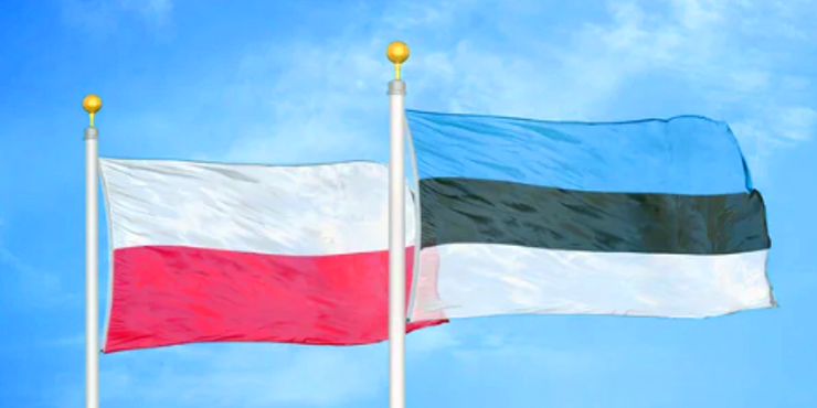 Польща та Естонія розкритикували Меркель, яка закидає їм провину у війні в Україні