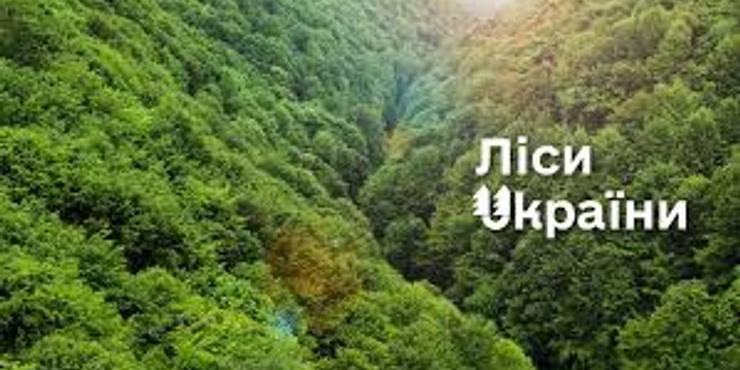 ДП "Ліси України" подало апеляцію на рішення суду, яке зобов’язало сплатити 194 тис. гривень за незаконну вирубку