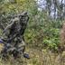 Українські снайпери знищили російських розвідників на Херсонському напрямку
