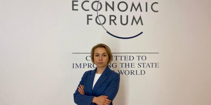 Законопроєкт про відновлення декларування пропонує тримати реєстр декларацій закритим: коментар Радіної