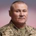 Тарнавський розповів, що росіяни посилили наступальні дії на Таврійському напрямку