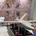 Португалія передасть Україні дрони Tekever AR3: що вони можуть
