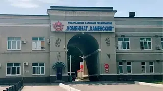 "Комбинат Каменский", РФ