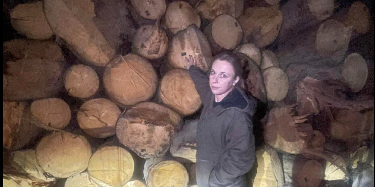 Нардепка Яцик розповіла про кричущі випадки незаконної вирубки дерев на Закарпатті