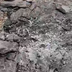 Росіяни обстріляли Херсонщину керованими бомбами: двоє людей загинули