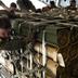 У НАТО заперечують скорочення збройної допомоги Україні після рішень Трампа, - Reuters