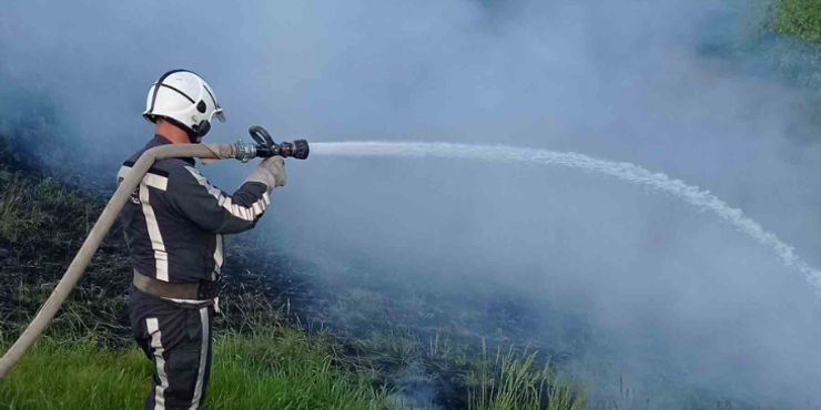 Біля Києва у лісі зайнялася сильна пожежа: що відомо про причини