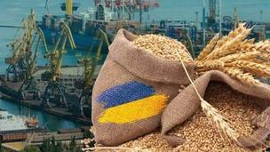 Українське зерно