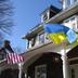 "Заморозка" війни і відмова від членства у НАТО: радники Трампа розповіли WSJ про варіанти закінчення війни в Україні