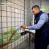 На Київщині затримали організатора виставки дронів