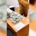 В ексголови ВЛК Чернігівщини під час обшуків виявили майже мільйон доларів, — ЗМІ