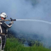 Біля Києва у лісі зайнялася сильна пожежа: що відомо про причини