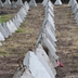 Одеса готується до кругової оборони, - ТрО "Південь"