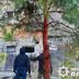 У поліції показали наслідки атаки на Київщину: є постраждалі та руйнування