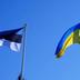 Естонія відправить Україні безпілотники та зимову форму
