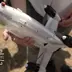 Перехоплювач SPYS компанії WIY Drones