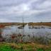 У "Київводоканалі" попередили, що через повінь вода у кранах змінить колір