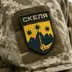 Поліція в 2026 році відкрила 103 справи про небойові смерті військових у «Скелі», — нардеп Федієнко Полк "Скеля"