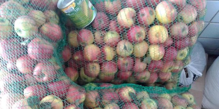 Компанія, яка продавала Міноборони яйця по 17 грн, тепер продає яблука по 51 грн, — журналістка